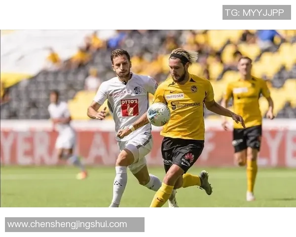 德国与瑞典精彩对决全场回顾分析与精彩瞬间重温