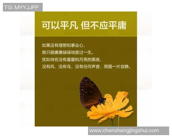 景菡一的成长之路与人生哲学探讨：从平凡到卓越的心路历程